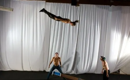Acrobatica