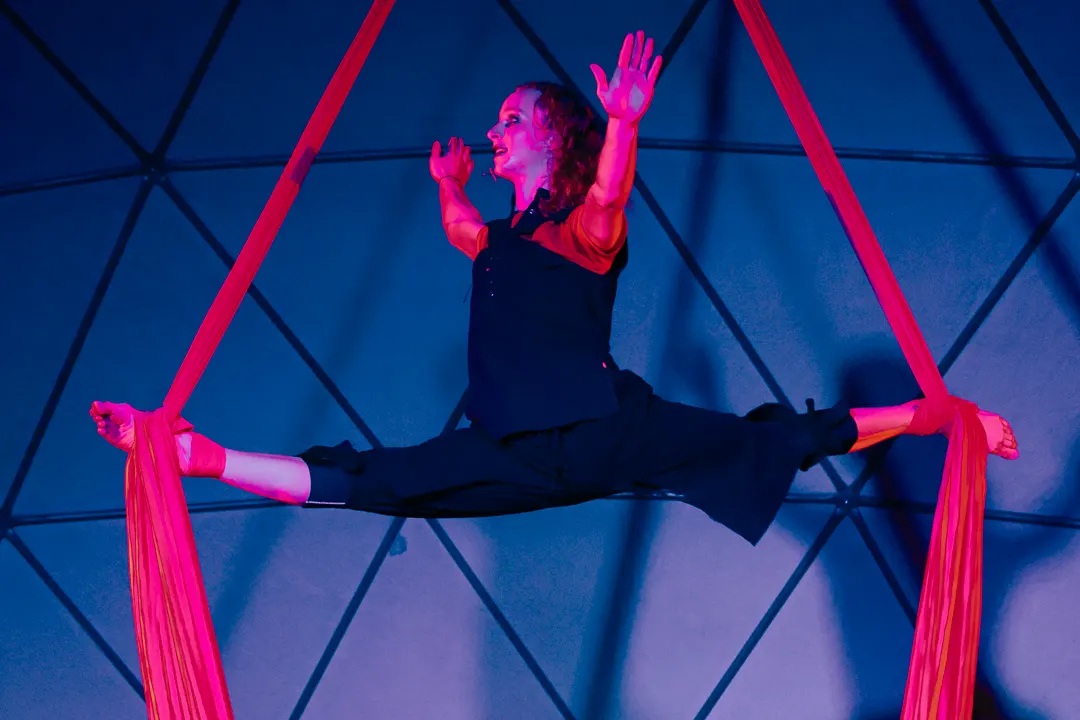 Aerial Silks and Aerial Hoop