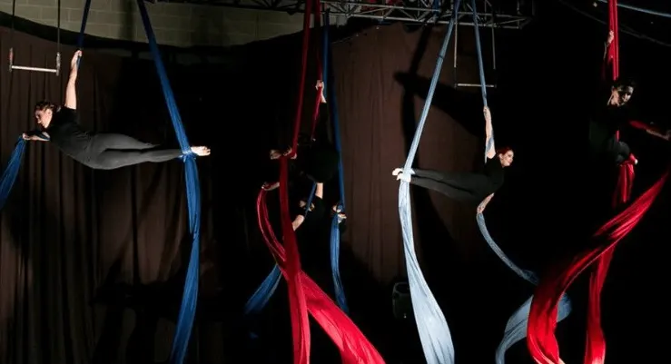 Aerial Tissue