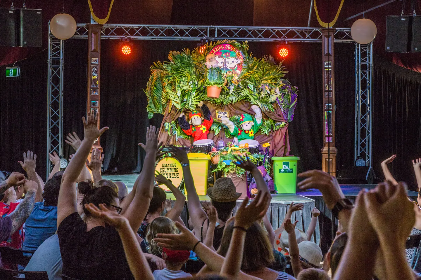 Amazing Drumming Monkeys