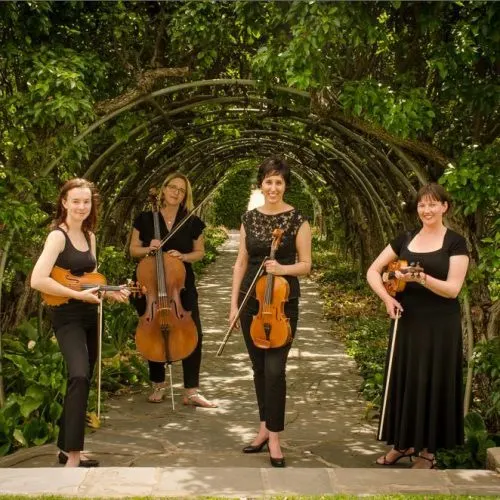 Aurora Strings