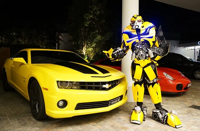 Bumblebee Transformer