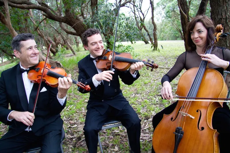 Classical Wedding and Function Music