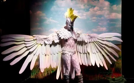 Cockatoo