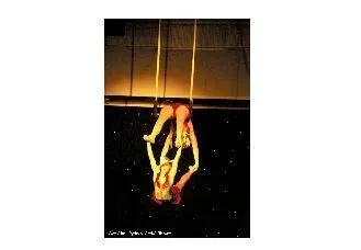 Double Trapeze