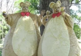 Furry Teddy Bears