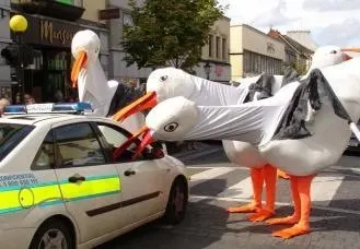 Giant Seagulls