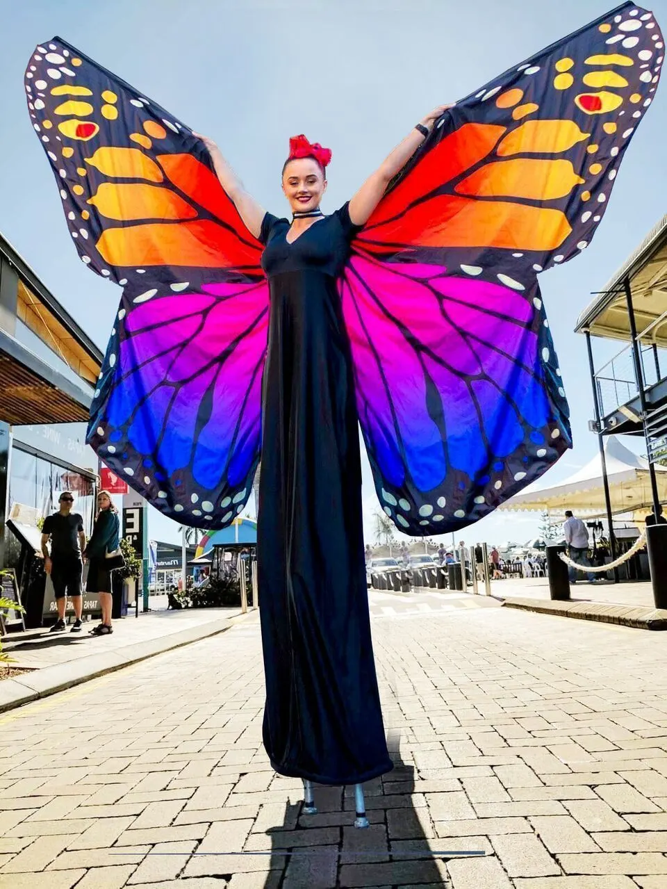 Madame Butterflies