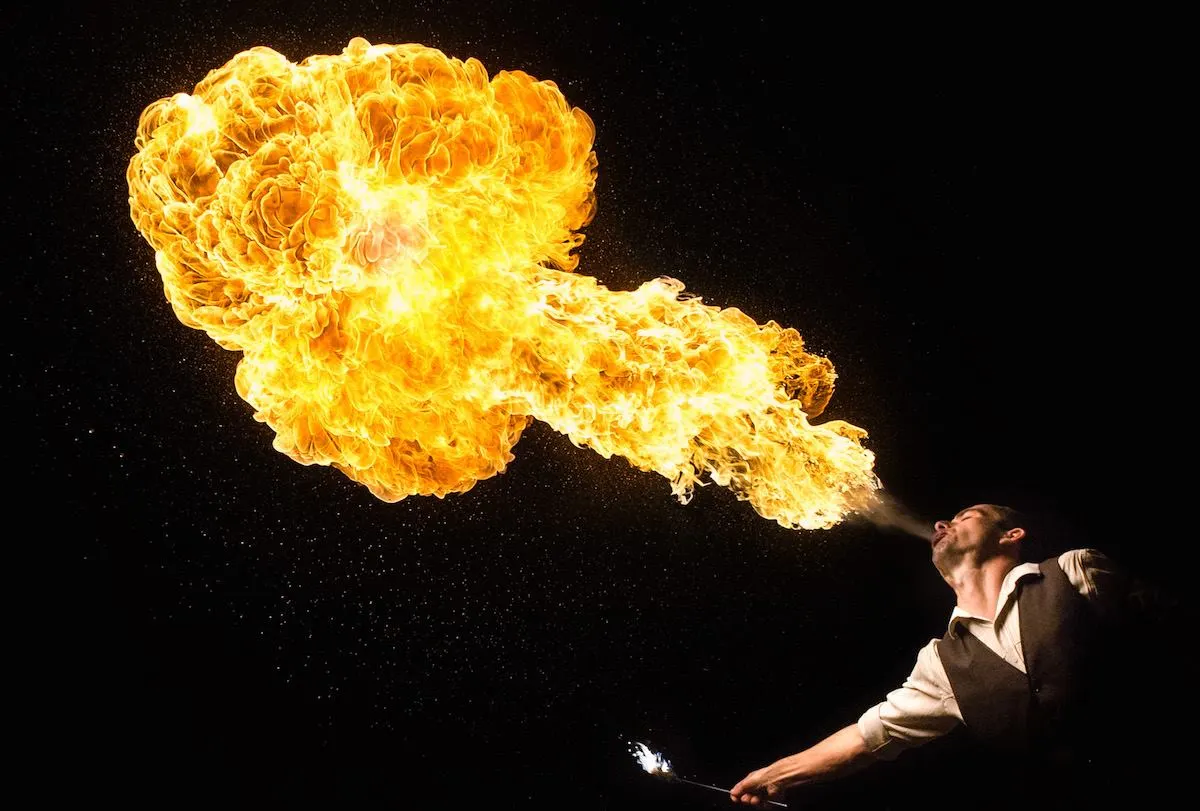 The Fire Ninja